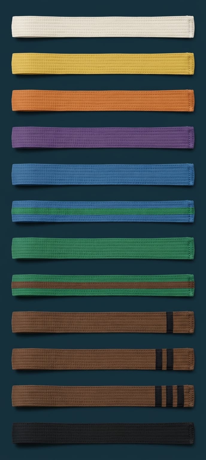 The USSD belt rank chart, showing the colored belt ranks students progress through.