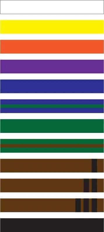 The USSD belt rank chart, showing the colored belt ranks students progress through.